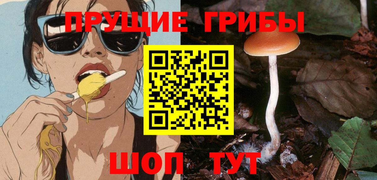 Гашиш  Канабис  МДМА  Южноуральск  NBOMe  Кокаин  Мефедрон   Метадон  Вход с VPN 