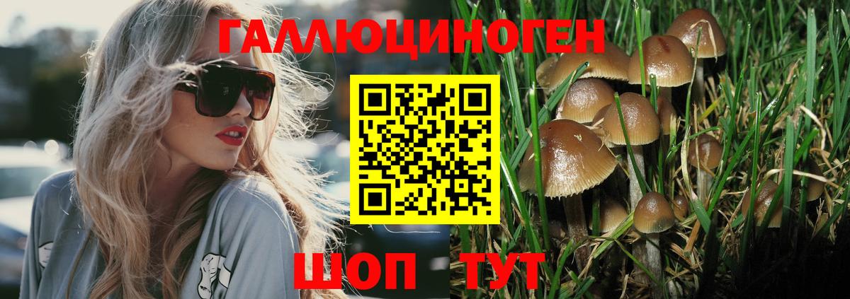 Южноуральск  Галлюциногенные грибы прущие грибы  Вход с VPN 